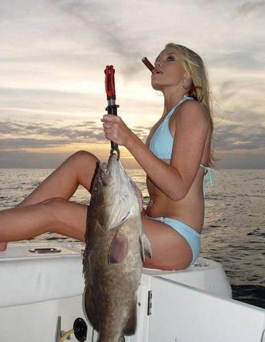 mda - 442823671239cfaed549.jpg